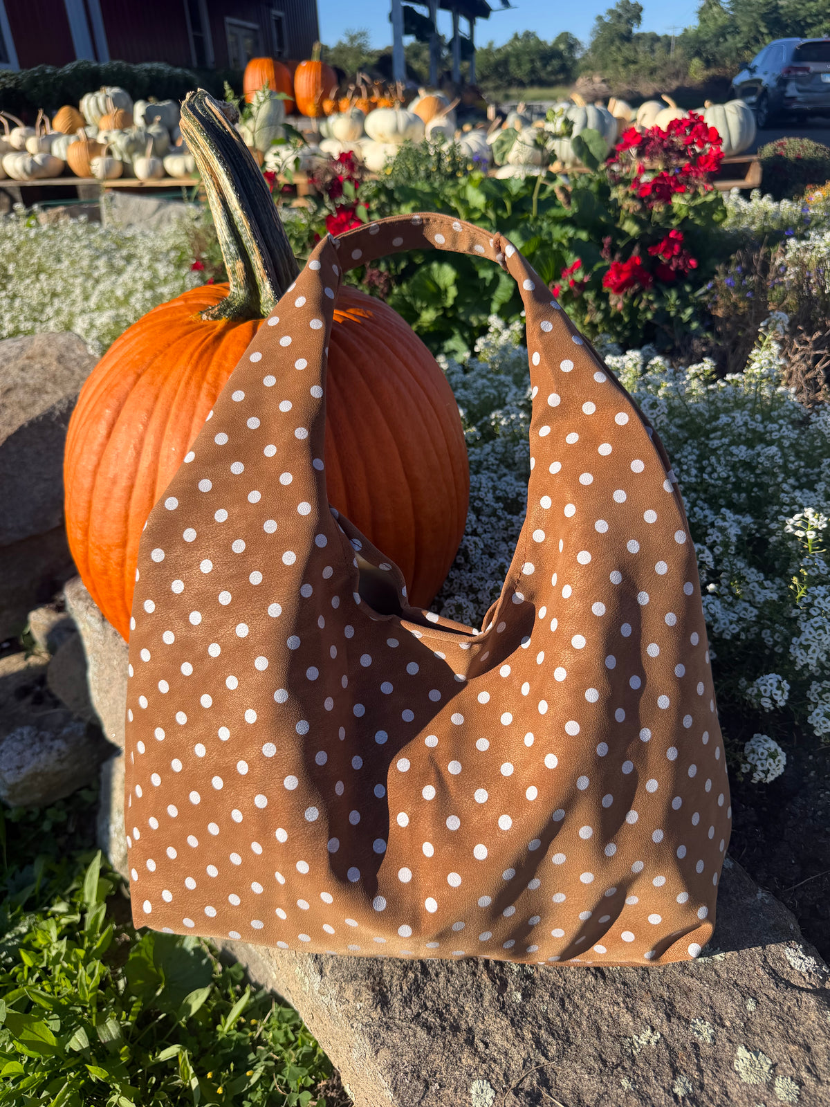 Brown Polka Dot Bag